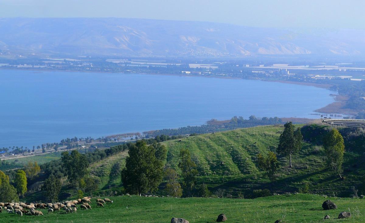 kinneret