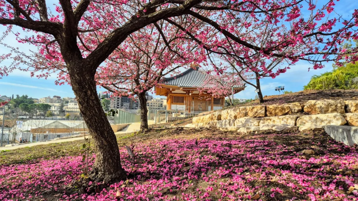 botanic-garden-jerusalem